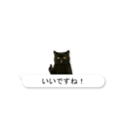 敬語な黒エキゾチックショートヘア（個別スタンプ：9）