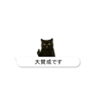 敬語な黒エキゾチックショートヘア（個別スタンプ：10）