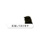 敬語な黒エキゾチックショートヘア（個別スタンプ：15）