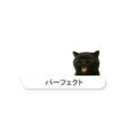 敬語な黒エキゾチックショートヘア（個別スタンプ：18）