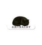 敬語な黒エキゾチックショートヘア（個別スタンプ：24）