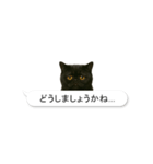 敬語な黒エキゾチックショートヘア（個別スタンプ：31）