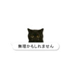 敬語な黒エキゾチックショートヘア（個別スタンプ：35）