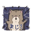 オニポニ ザ ラグドール 2編（個別スタンプ：13）
