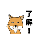 ハシビロコウとチベットギツネ（個別スタンプ：2）
