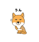 ハシビロコウとチベットギツネ（個別スタンプ：10）