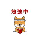 ハシビロコウとチベットギツネ（個別スタンプ：13）