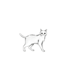 モノクロ猫シルエット（個別スタンプ：9）