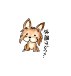 チワワのコハちゃんスタンプ（個別スタンプ：3）