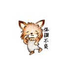 チワワのコハちゃんスタンプ（個別スタンプ：17）