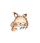 チワワのコハちゃんスタンプ（個別スタンプ：23）