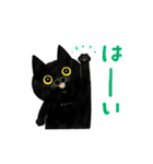 サカイさんちのにゃんこたち。（個別スタンプ：5）