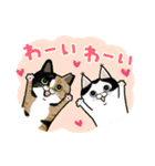 サカイさんちのにゃんこたち。（個別スタンプ：6）