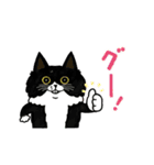 サカイさんちのにゃんこたち。（個別スタンプ：7）