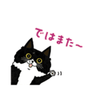サカイさんちのにゃんこたち。（個別スタンプ：9）