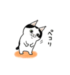 サカイさんちのにゃんこたち。（個別スタンプ：11）