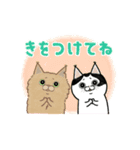 サカイさんちのにゃんこたち。（個別スタンプ：13）