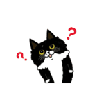 サカイさんちのにゃんこたち。（個別スタンプ：25）