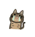 サカイさんちのにゃんこたち。（個別スタンプ：31）