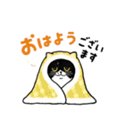 サカイさんちのにゃんこたち。（個別スタンプ：33）