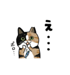 サカイさんちのにゃんこたち。（個別スタンプ：39）