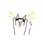 サカイさんちのにゃんこたち。（個別スタンプ：40）