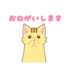 チャトラ猫のつな（個別スタンプ：6）
