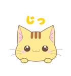 チャトラ猫のつな（個別スタンプ：8）