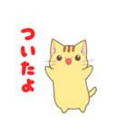 チャトラ猫のつな（個別スタンプ：11）