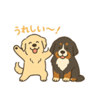 ベンオビブラザーズ（個別スタンプ：3）