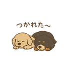 ベンオビブラザーズ（個別スタンプ：12）