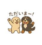 ベンオビブラザーズ（個別スタンプ：13）