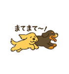 ベンオビブラザーズ（個別スタンプ：16）