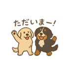 ベンオビブラザーズ（個別スタンプ：25）