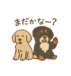 ベンオビブラザーズ（個別スタンプ：26）
