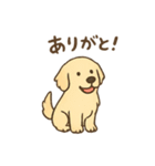 ベンオビブラザーズ（個別スタンプ：29）