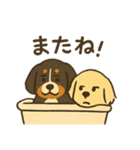 ベンオビブラザーズ（個別スタンプ：30）