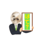 シーズー犬 よく使う日常スタンプ（個別スタンプ：5）