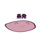 アズキ猫3（個別スタンプ：2）