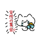 推し活に使えそうなねこちゃんスタンプ（個別スタンプ：17）