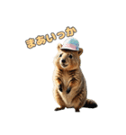 愛らしいクオッカ3（日本語）（個別スタンプ：2）