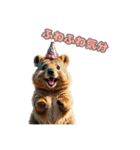 愛らしいクオッカ3（日本語）（個別スタンプ：3）
