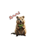 愛らしいクオッカ3（日本語）（個別スタンプ：4）