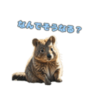 愛らしいクオッカ3（日本語）（個別スタンプ：5）