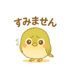 ゆるふわ癒しのメジロスタンプ（個別スタンプ：4）