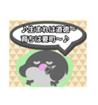 【日常会話編1】文鳥さん（個別スタンプ：34）