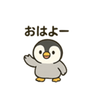 フンボルトペンギンとあいさつ（個別スタンプ：1）
