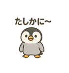 フンボルトペンギンとあいさつ（個別スタンプ：15）