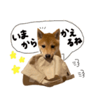 ぽん部長の日常（個別スタンプ：23）