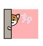 ぬいぐるみたちの挨拶集（個別スタンプ：7）